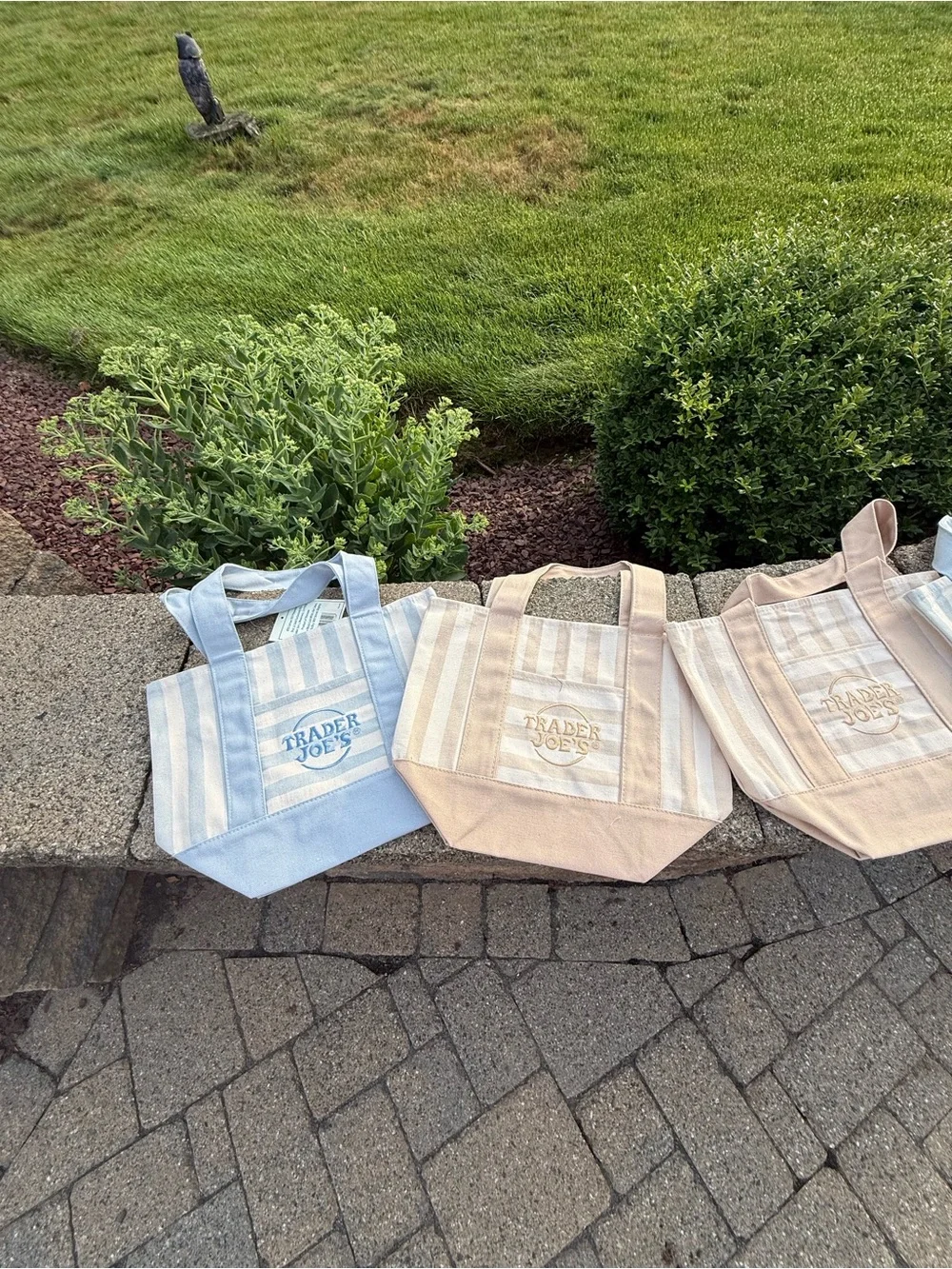 Trader Joe's Set of 4 Striped Canvas Tote Bags - Blue & Beige - Picture 2 of 5